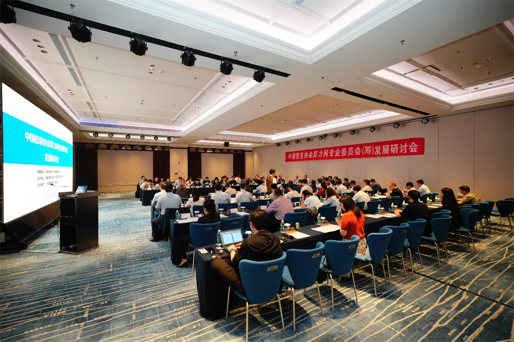 中国信息协会算力网专业委员会（筹）发展研讨会在深圳召开
